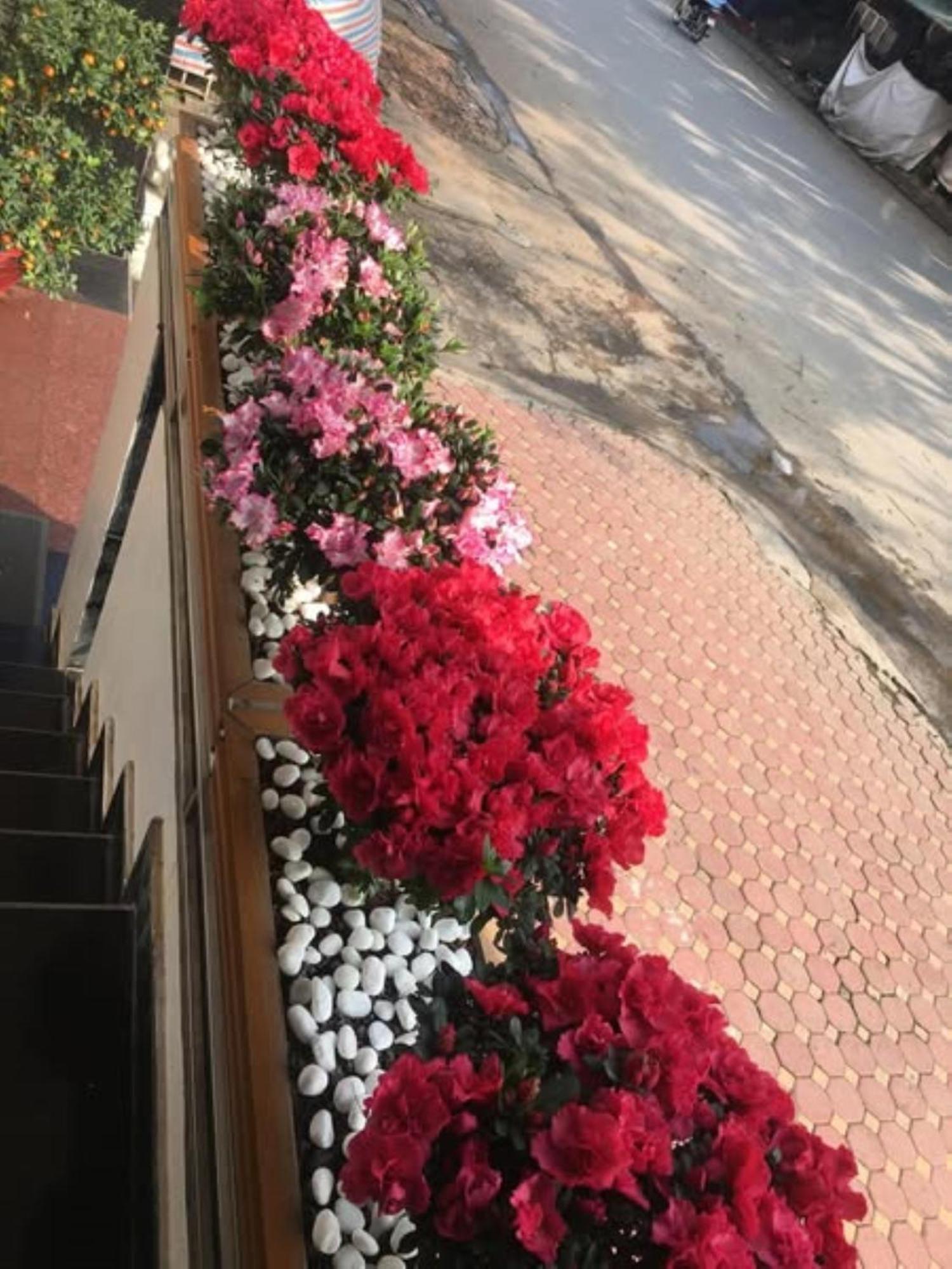 Hoa Viet Hotel Cao Bang Exteriör bild